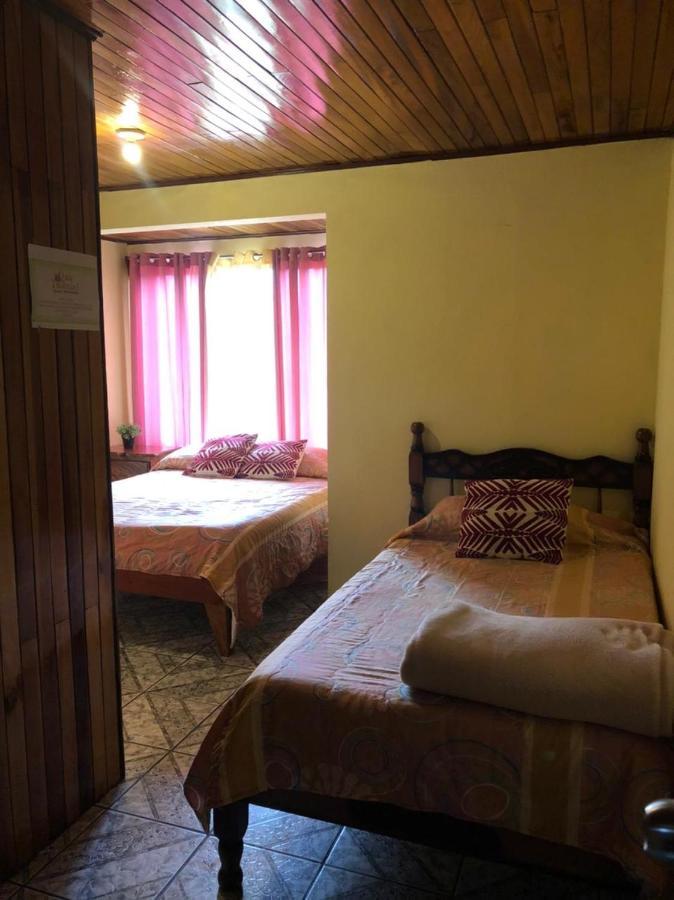 Monteverde Monkey Hostel מראה חיצוני תמונה