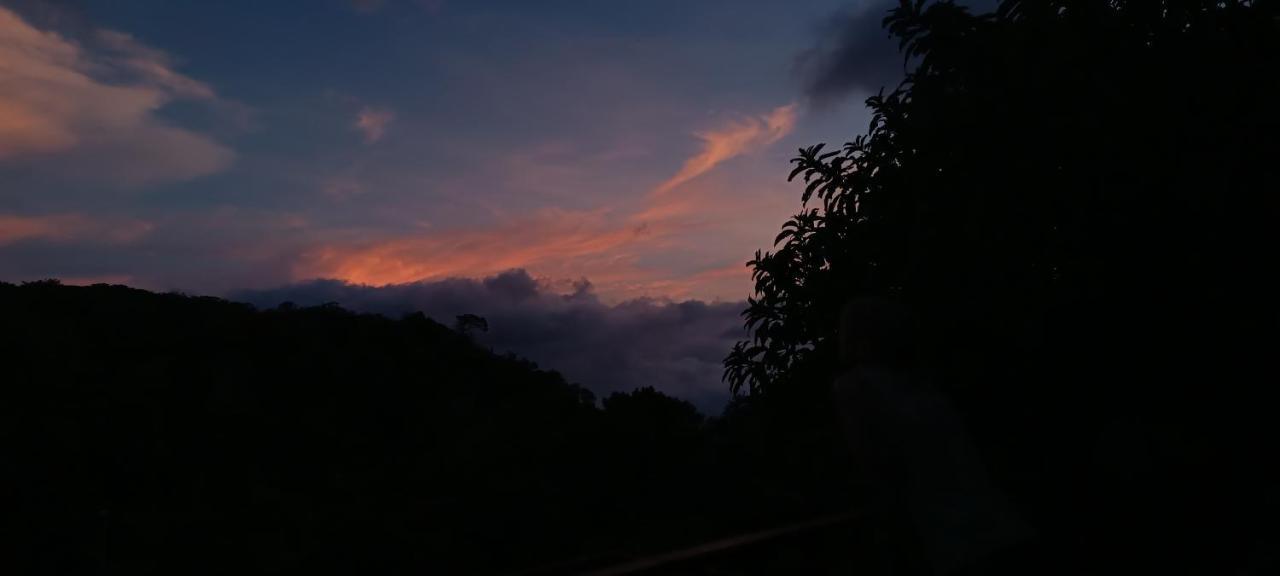 Monteverde Monkey Hostel מראה חיצוני תמונה