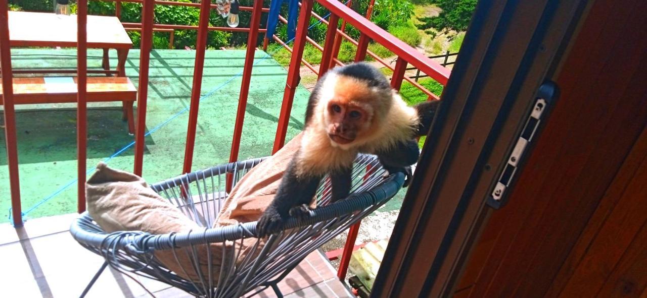Monteverde Monkey Hostel מראה חיצוני תמונה